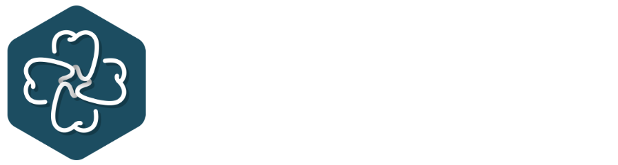 Dental Supply Inc.